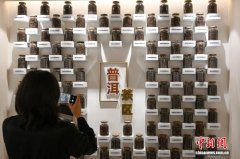 一“坨”云南普洱茶的世界